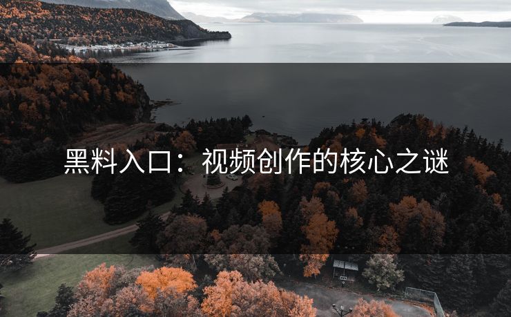 黑料入口：视频创作的核心之谜