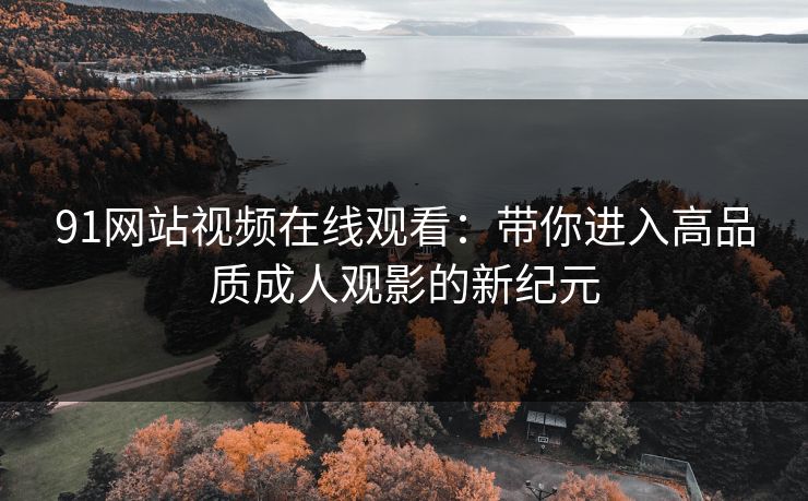 91网站视频在线观看：带你进入高品质成人观影的新纪元
