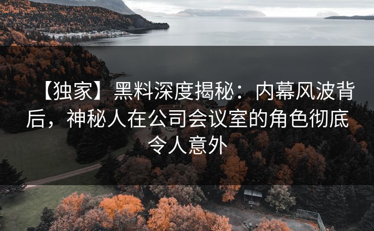 【独家】黑料深度揭秘：内幕风波背后，神秘人在公司会议室的角色彻底令人意外