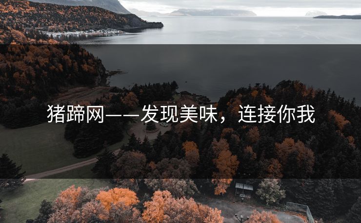 猪蹄网——发现美味，连接你我