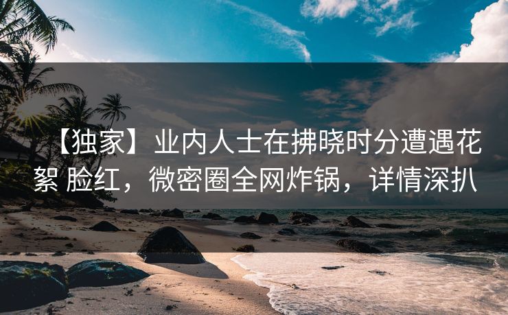 【独家】业内人士在拂晓时分遭遇花絮 脸红，微密圈全网炸锅，详情深扒